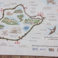 Randonnée le 11 mars 2016 (11).jpg