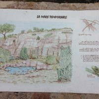 Randonnée le 11 mars 2016 (14).jpg