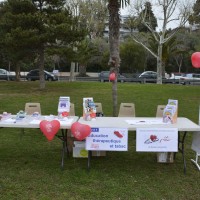 Parcours du Coeur le 2 avril 2016 (20).JPG