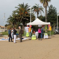 Parcours du Coeur le 2 avril 2016 (113).jpg