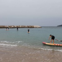 Parcours du Coeur le 2 avril 2016 (212).jpg