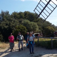Randonnée le 17 mai 2016 (20).jpg
