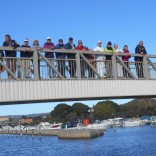 RANDONNEE LA LONDE LES MAURES LE 19 01 18 (2).jpg