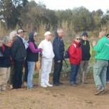 RANDONNEE LA LONDE LES MAURES LE 19 01 18 (14).jpg