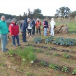 RANDONNEE LA LONDE LES MAURES LE 19 01 18 (15).jpg