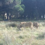 Randonnée le 16 novembre 2018 (2).JPG