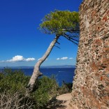 Journée à Porquerolles le 5 octobre 2022 (33).jpg