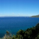 Journée à Porquerolles le 5 octobre 2022 (34).jpg