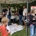 Parcours du Coeur le 8 juin 2024 (41).jpg